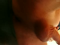 Dog take up with the tongue male anal gap